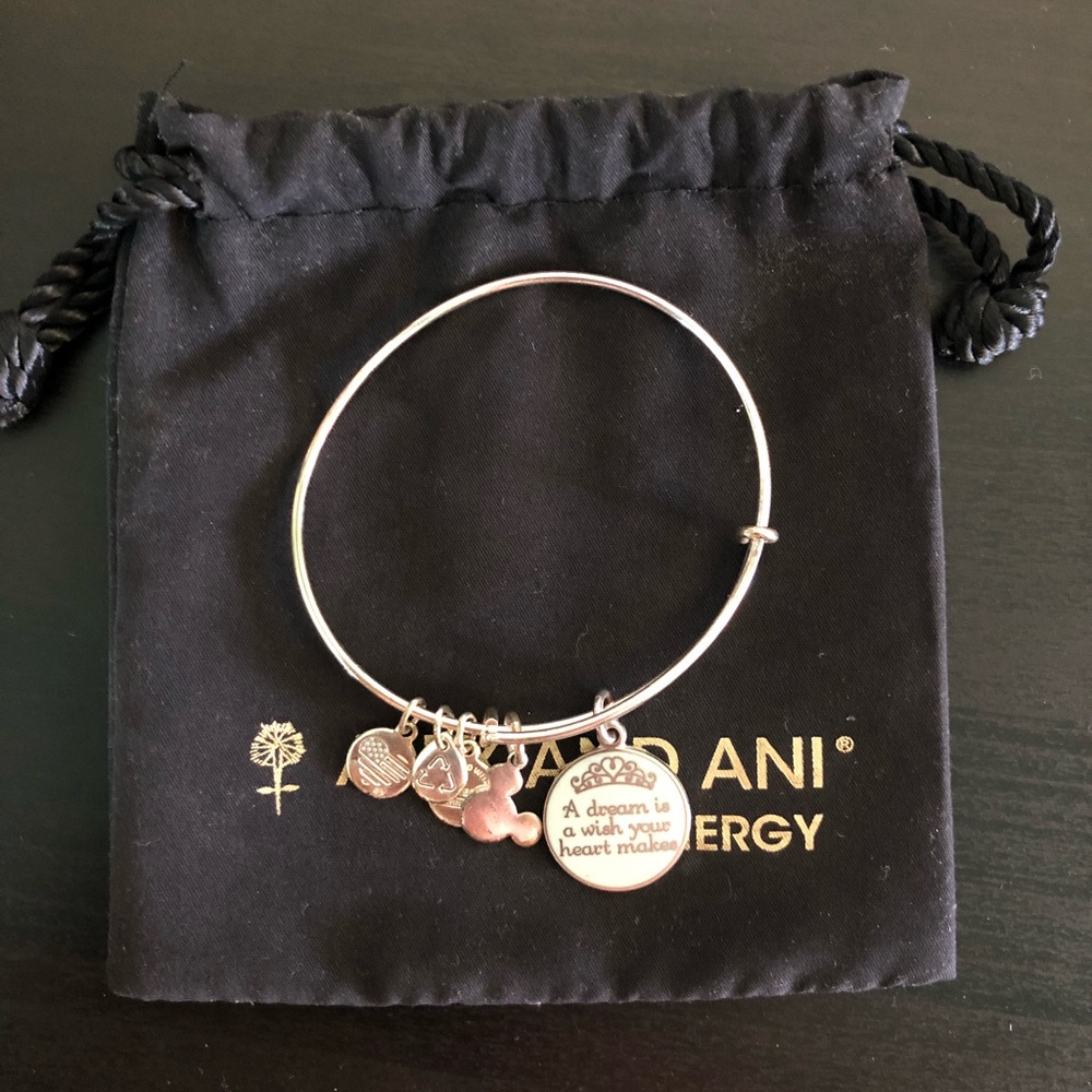 Alex and Ani A Dream Is A Wish Bangle